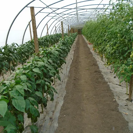 El Gobernador Venkovský dům *