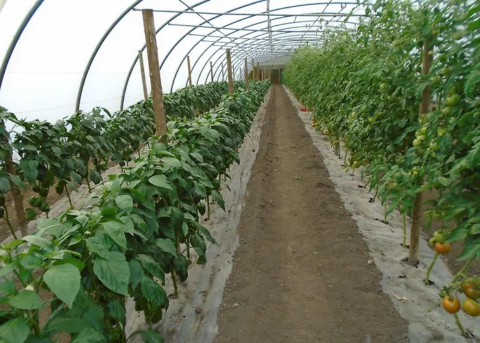 El Gobernador Casa rural *